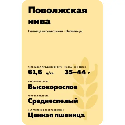 ПОВОЛЖСКАЯ НИВА