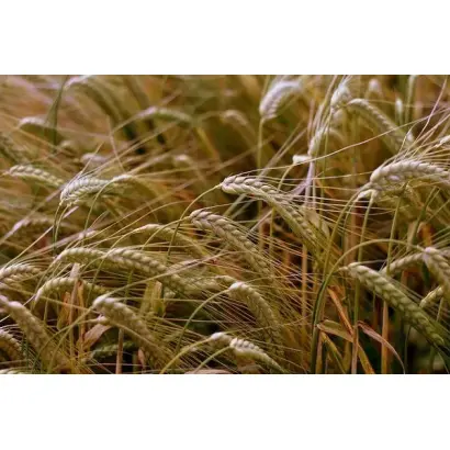 МОСКОВСКАЯ 70