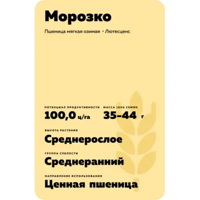 МОРОЗКО