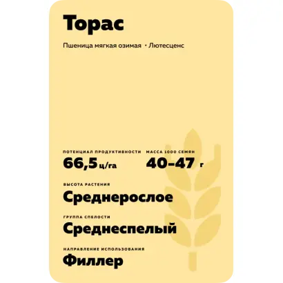 ТОРАС