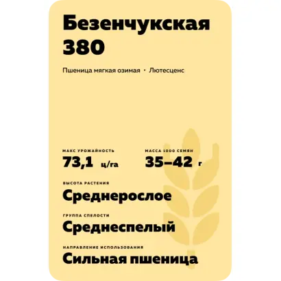 БЕЗЕНЧУКСКАЯ 380