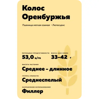 КОЛОС ОРЕНБУРЖЬЯ