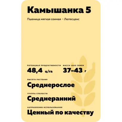 КАМЫШАНКА 5