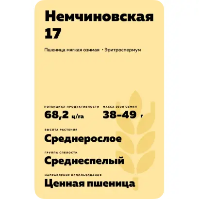 НЕМЧИНОВСКАЯ 17