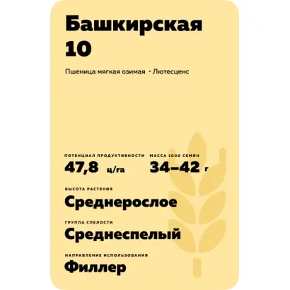 БАШКИРСКАЯ 10