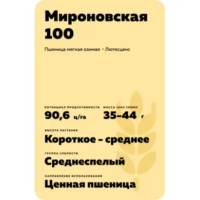 МИРОНОВСКАЯ 100