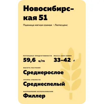 НОВОСИБИРСКАЯ 51