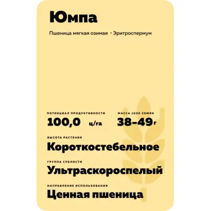 ЮМПА