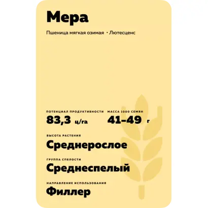 МЕРА