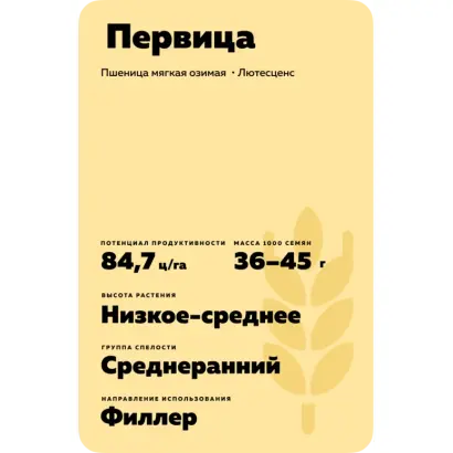 ПЕРВИЦА