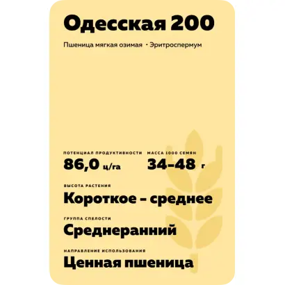 ОДЕССКАЯ 200