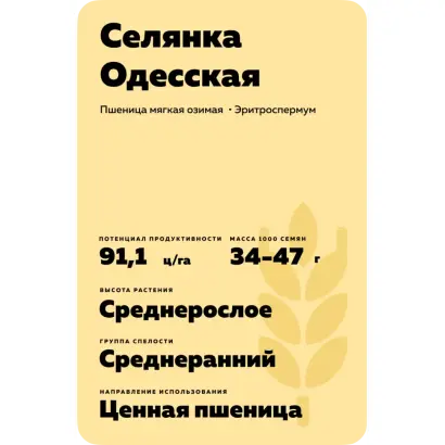 СЕЛЯНКА ОДЕССКАЯ