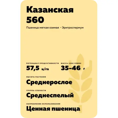 КАЗАНСКАЯ 560