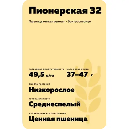 ПИОНЕРСКАЯ 32