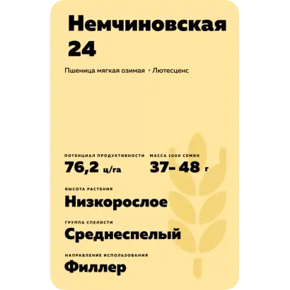 НЕМЧИНОВСКАЯ 24