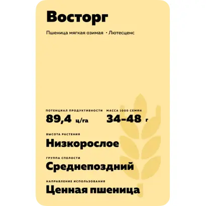 ВОСТОРГ