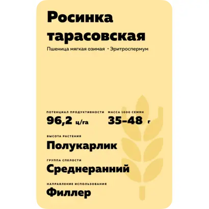 РОСИНКА ТАРАСОВСКАЯ