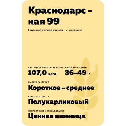 КРАСНОДАРСКАЯ 99