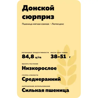 ДОНСКОЙ СЮРПРИЗ