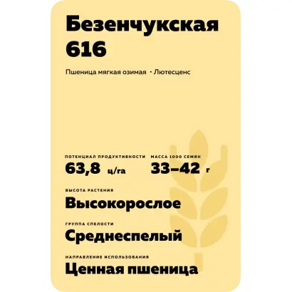 БЕЗЕНЧУКСКАЯ 616