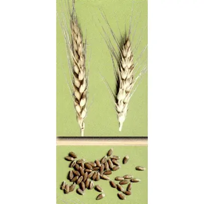 ЛЕВОБЕРЕЖНАЯ 3