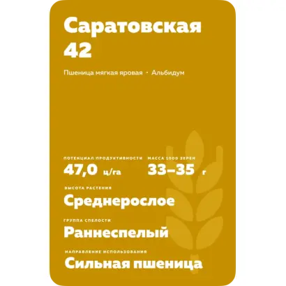 САРАТОВСКАЯ 42