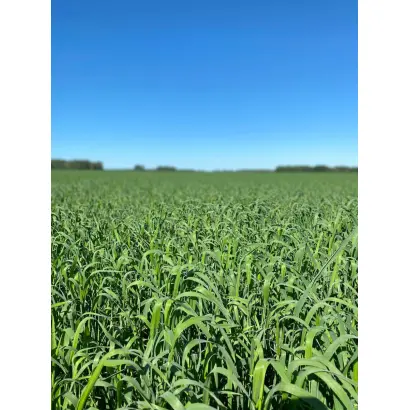 ЗАУРАЛЬСКИЙ ПРОСТОР