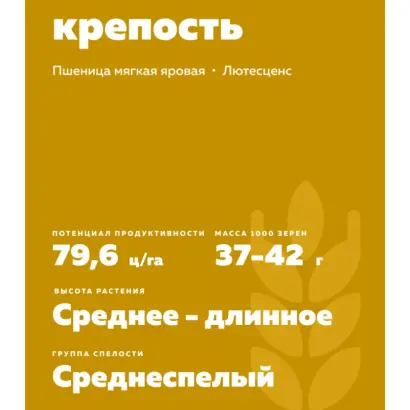 ОМСКАЯ КРЕПОСТЬ