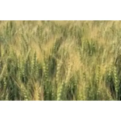 АГРОНОМИЧЕСКАЯ 5