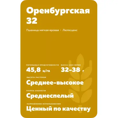 ОРЕНБУРГСКАЯ 32