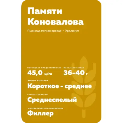 ПАМЯТИ КОНОВАЛОВА