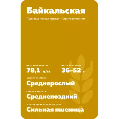 БАЙКАЛЬСКАЯ