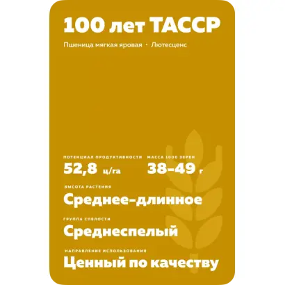 100 ЛЕТ ТАССР