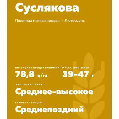 ПАМЯТИ СУСЛЯКОВА