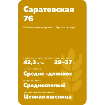САРАТОВСКАЯ 76