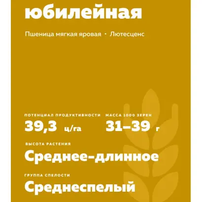 ОРЕНБУРГСКАЯ ЮБИЛЕЙНАЯ