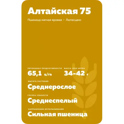АЛТАЙСКАЯ 75