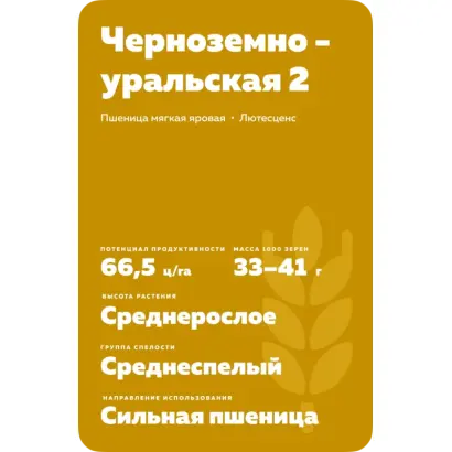 ЧЕРНОЗЕМНОУРАЛЬСКАЯ 2