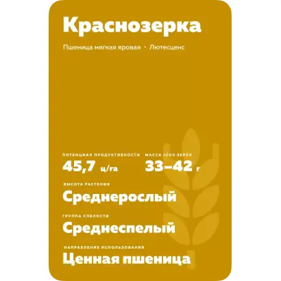 КРАСНОЗЁРКА