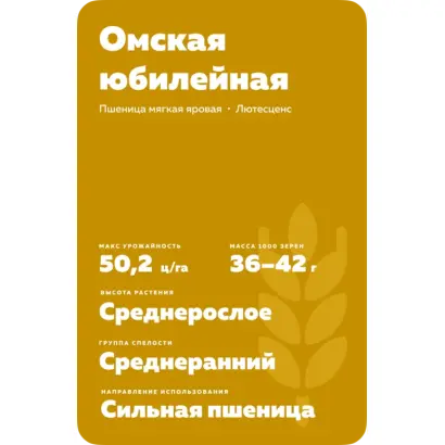 ОМСКАЯ ЮБИЛЕЙНАЯ