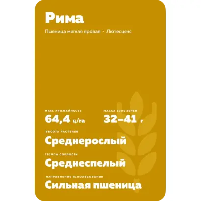 РИМА