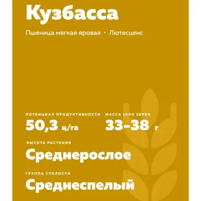 НАДЕЖДА КУЗБАССА