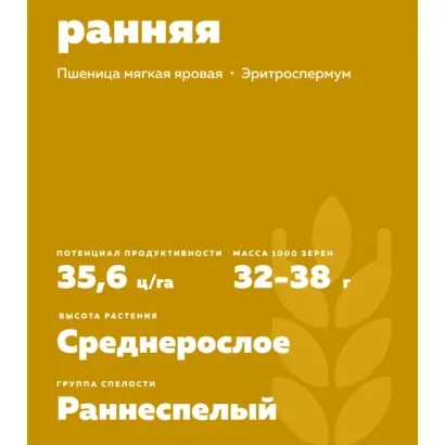 ЧЕЛЯБА РАННЯЯ