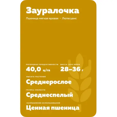 ЗАУРАЛОЧКА