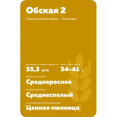 ОБСКАЯ 2