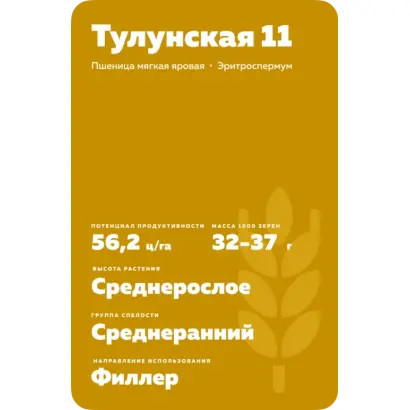 ТУЛУНСКАЯ 11