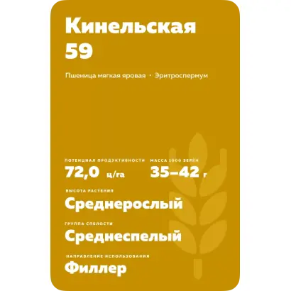КИНЕЛЬСКАЯ 59