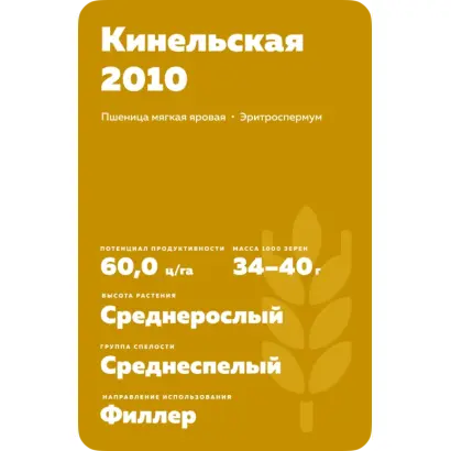 КИНЕЛЬСКАЯ 2010
