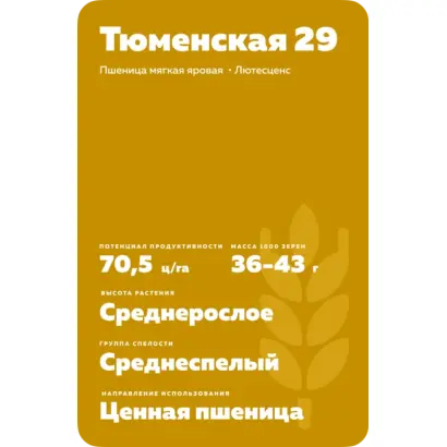ТЮМЕНСКАЯ 29