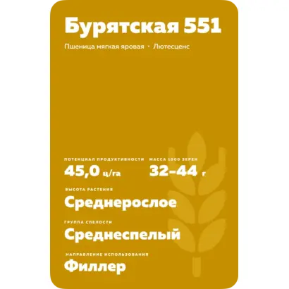 БУРЯТСКАЯ 551
